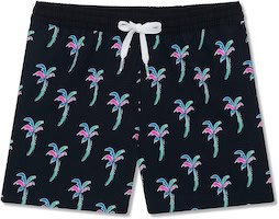 Boys summer travel shorts featuring a colorful palm tree pattern, perfect for vacation packing.