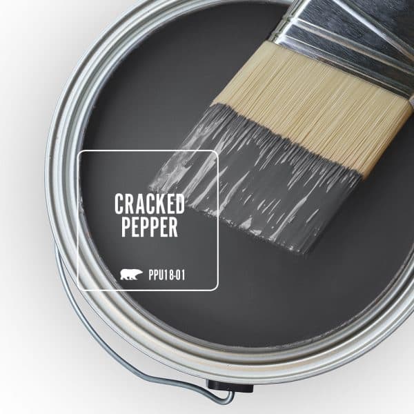 Behr Paint Colors - 2024 Cracked Pepper, gray with  black undertones