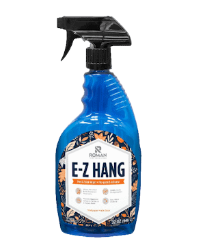 romans e-z- hang