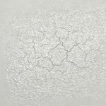 Surface with visible cracks and wrinkles in the paint due to recoating too soon or using incompatible products.