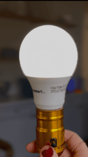 Screw in a light bulb and plug the lamp into an outlet.