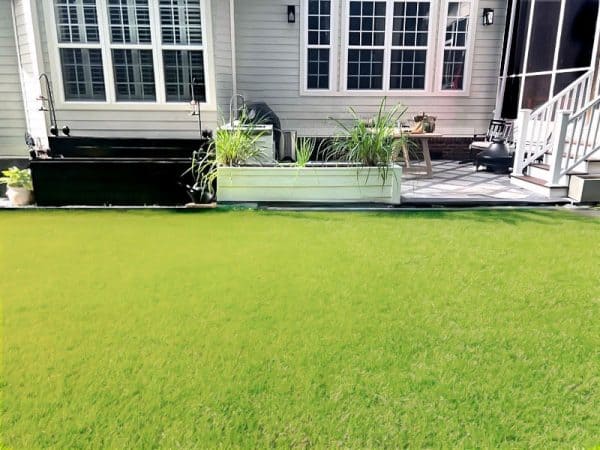 A bright green lawn adjacent to a modern backyard with a wooden deck, potted plants, and large windows.