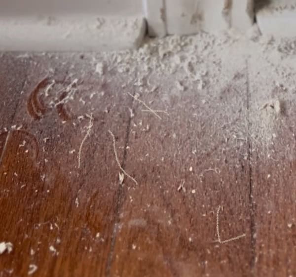 Close-up of dust and debris on a wooden floor, from sanding door frames and French doors
