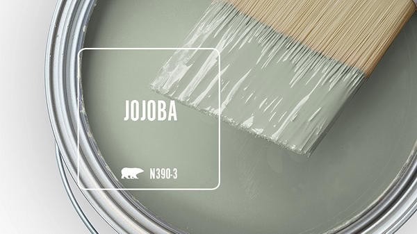  A soft, light green with a strong gray base. It’s calming and easy to live with, especially if you want green without committing to a saturated color.