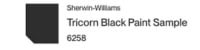 Sherwin Williams Tricorn Black paint color