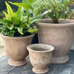 terracotta garden pots for outdoor plants and container gardening