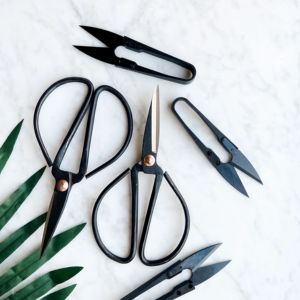 gardening pruners and scissors set for trimming plants and indoor gardening