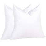 pure down lumbar pillow inserts 20x20