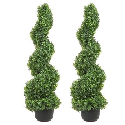 Boxwood Spiral Topiary