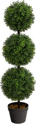Triple Ball Boxwood Topiary